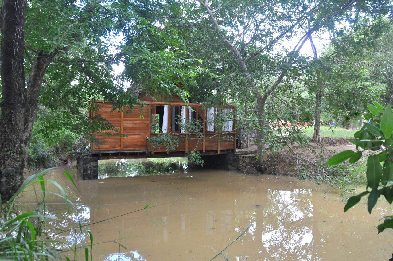 Villa Raintree Dambulla Exterior foto