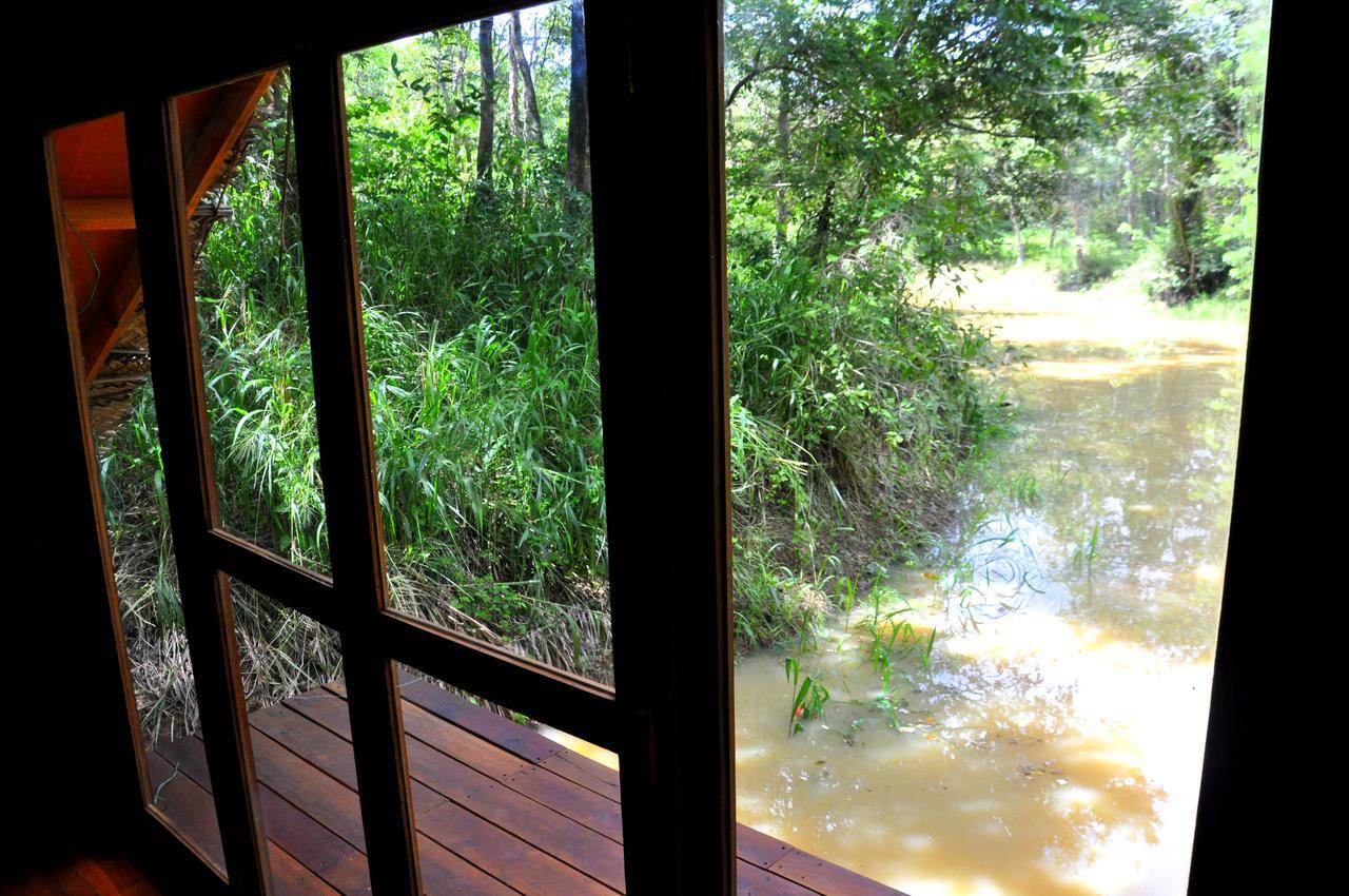 Villa Raintree Dambulla Exterior foto