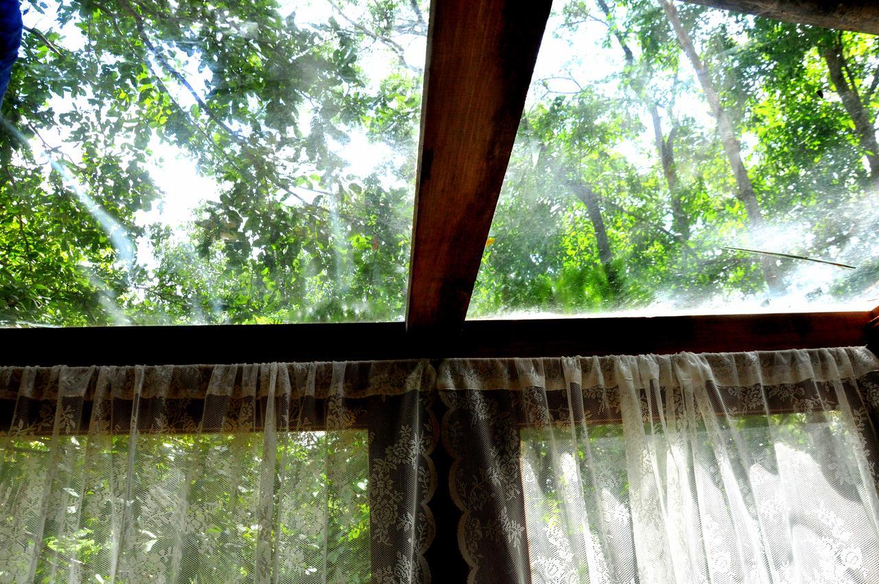 Villa Raintree Dambulla Exterior foto