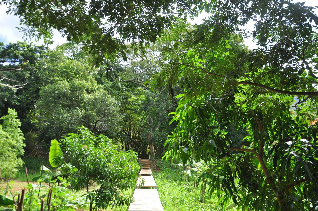 Villa Raintree Dambulla Exterior foto