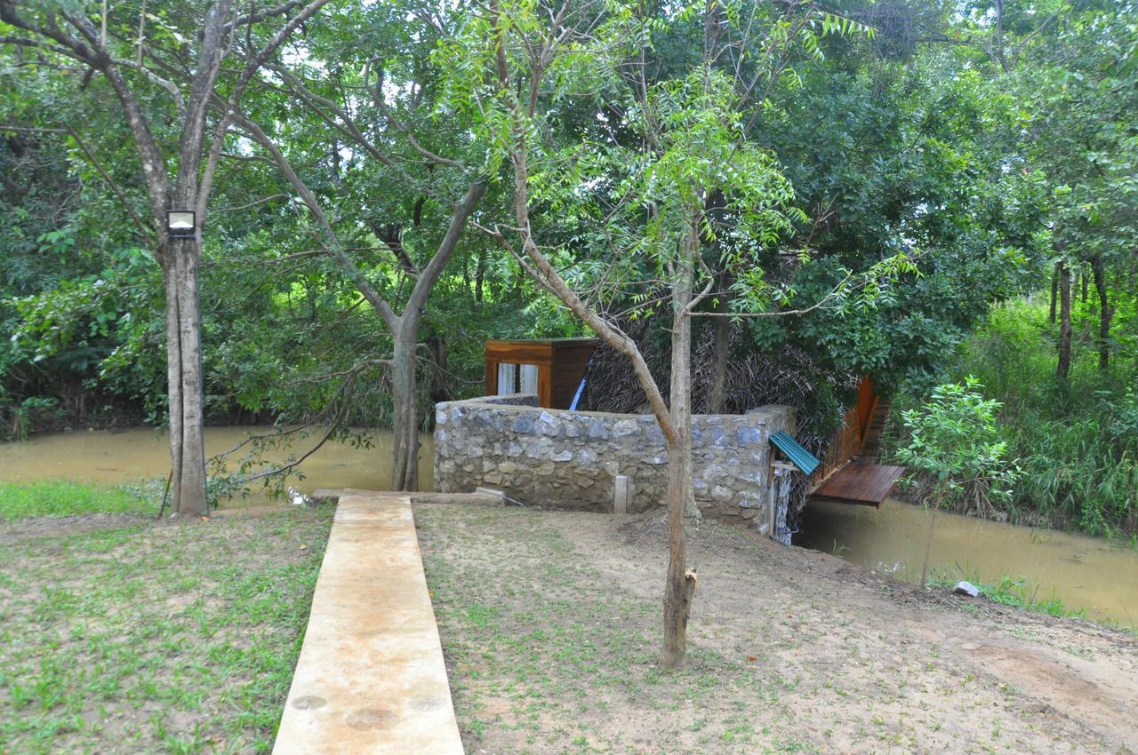 Villa Raintree Dambulla Exterior foto