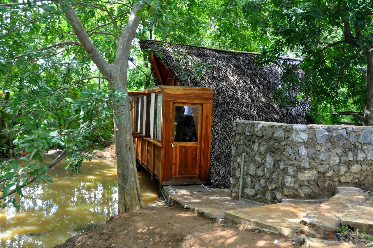 Villa Raintree Dambulla Exterior foto