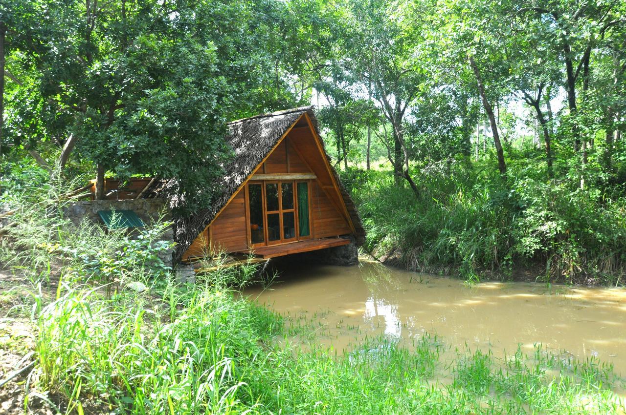 Villa Raintree Dambulla Exterior foto