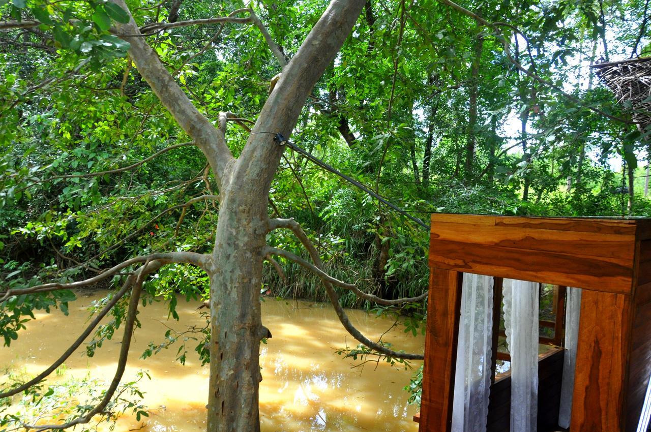 Villa Raintree Dambulla Exterior foto
