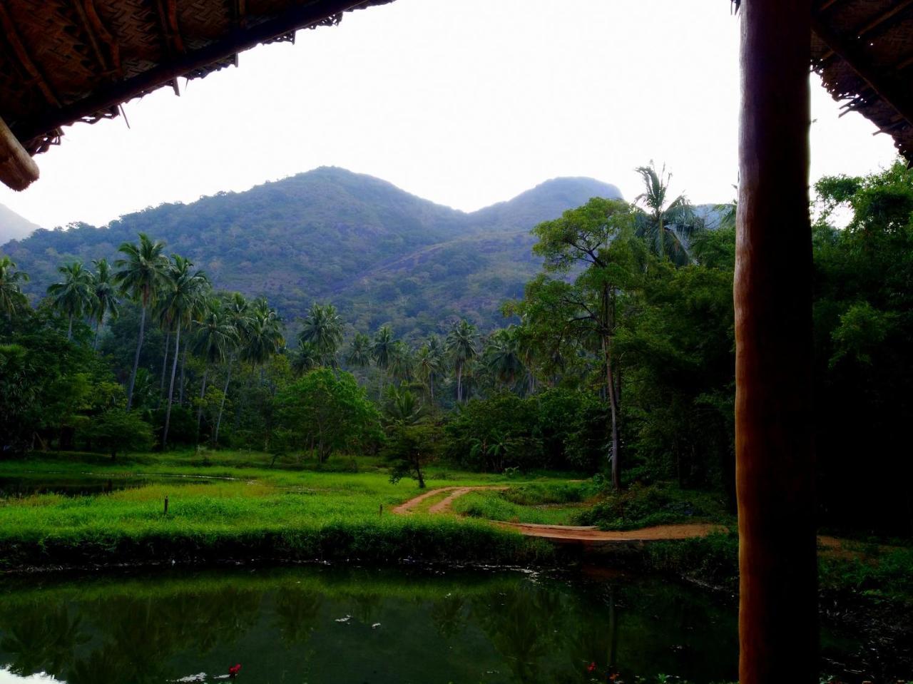 Villa Raintree Dambulla Exterior foto