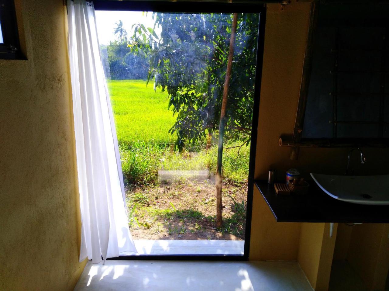Villa Raintree Dambulla Exterior foto