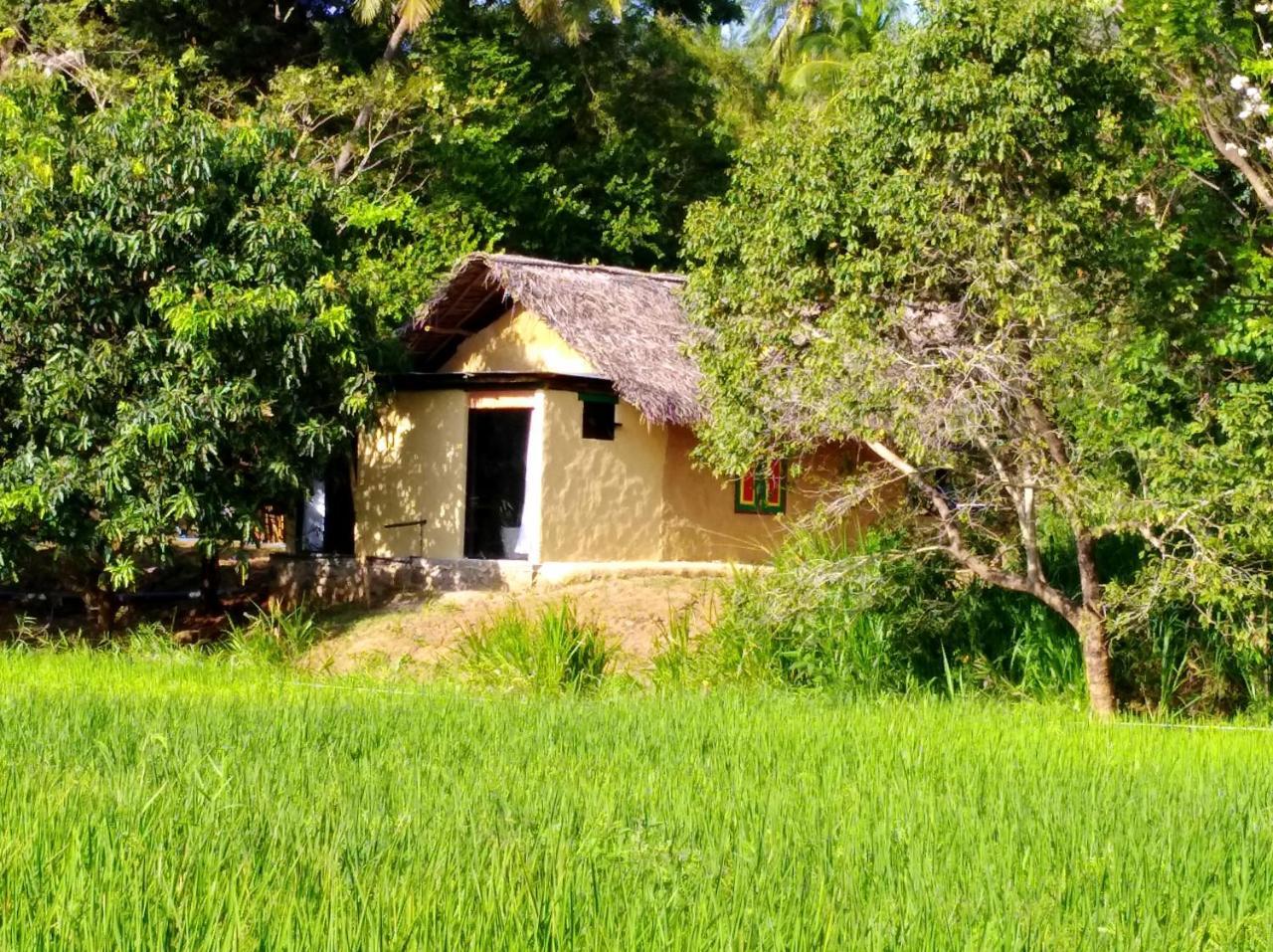 Villa Raintree Dambulla Exterior foto